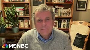 Video post by @msnbc on YouTube