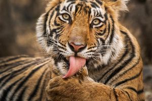 Image post by @natgeo on Instagram