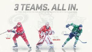 Image post by @FL_Everblades on Twitter