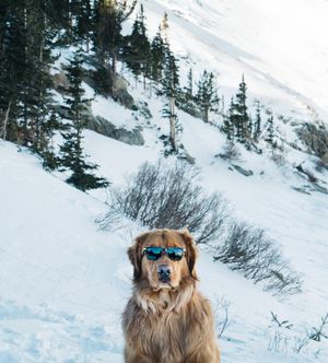 Image post by @discovery on Instagram