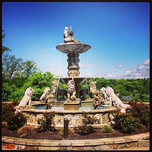 Image post by @laraleatrump on Instagram