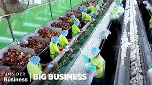 Video post by @insiderbusiness on YouTube