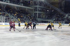 Image post by @umichhockey on Instagram