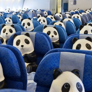 Image post by @cathaypacific on Instagram