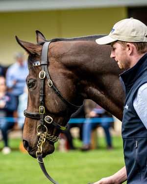 Image post by @australianturfclub on Instagram