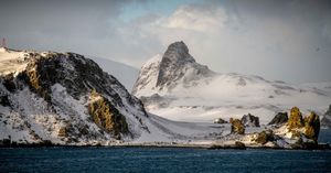 Image post by @discovery on Instagram