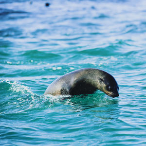 Image post by @discovery on Instagram