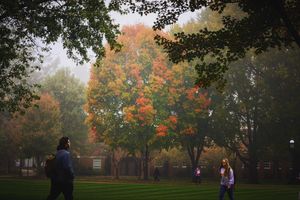 Image post by @elonuniversity on Instagram
