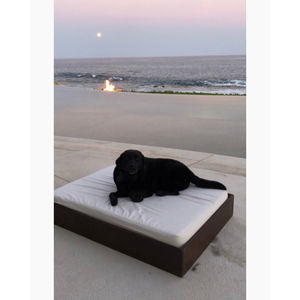 Image post by @vanessabryant on Instagram