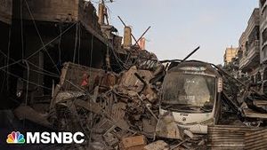 Video post by @msnbc on YouTube