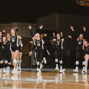 Image post by @wmtribevb on Instagram