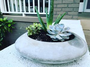 Image post by @bonnieplants on Instagram