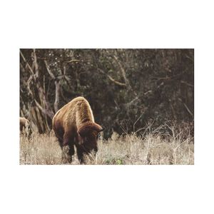Image post by @martemedia on Instagram