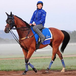 Image post by @australianturfclub on Instagram