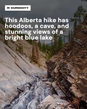 Image post by @curiocitycalgary on Instagram