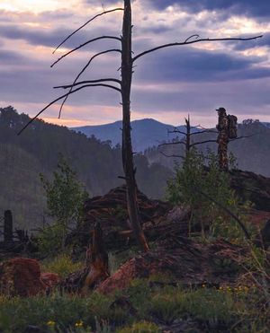 Image post by @meateater on Instagram