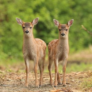 Image post by @nationalparktrust on Instagram