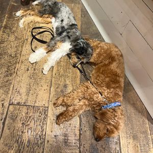 Image post by @michaelstrahan on Instagram