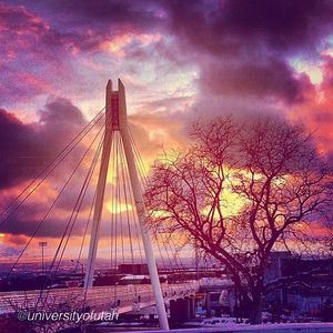 Image post by @utahvolleyball on Instagram
