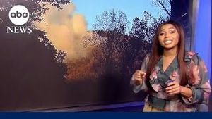 Video post by @abcnews on YouTube