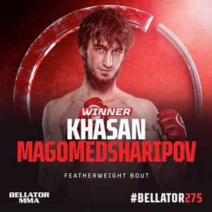 Image post by @bellatormma on Instagram