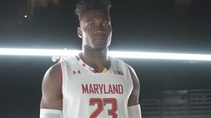 Image post by @terrapinhoops on Instagram