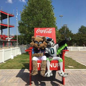 Image post by @blitztheseahawk on Instagram