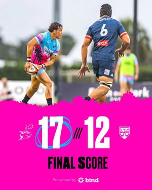 Image post by @miasharksrugby on Instagram