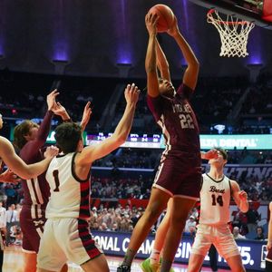 Image post by @laubhan.visuals on Instagram