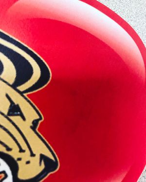 Image post by @lindenwood_lions on Instagram