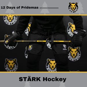 Image post by @thebostonpride on Instagram