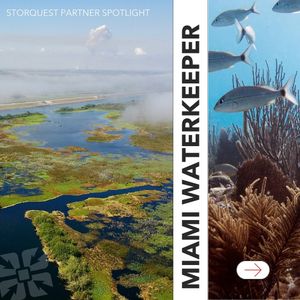 Image post by @storquest on Instagram