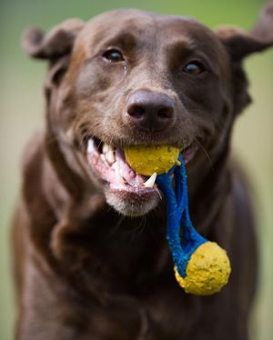 Image post by @bradyoungphoto on Instagram