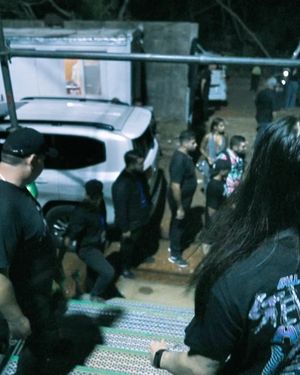 Image post by @steveaoki on Instagram