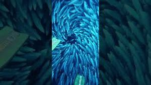 Video post by @gopro on YouTube