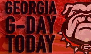 Image post by @dawgnation on Instagram