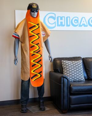 Image post by @thechicagodogs on Instagram