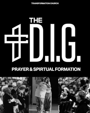 Image post by @wearetransformation on Instagram