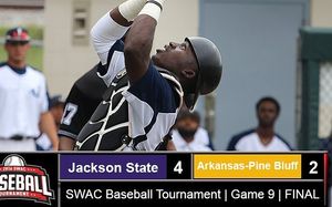 Image post by @theswac on Instagram