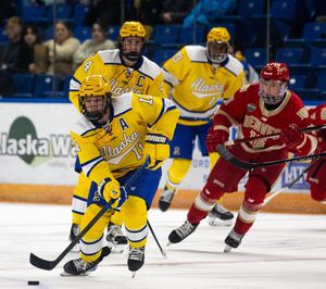 Image post by @nanookshockey on Instagram
