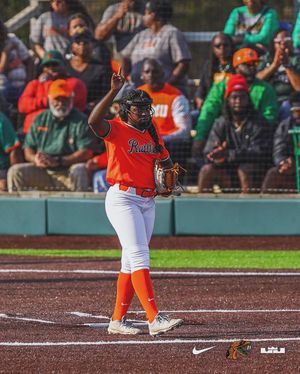 Image post by @famu_softball on Instagram