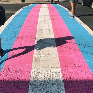 Image post by @cityofcalgary on Instagram