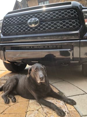 Image post by @MartinTruex_Jr on Twitter