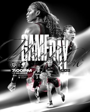 Image post by @aggiewbb on Instagram