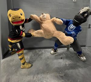 Image post by @chancenhl on Instagram