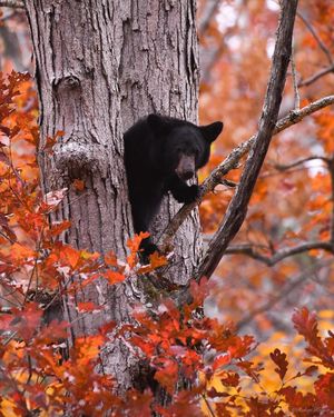 Image post by @nationalparkscollective on Instagram