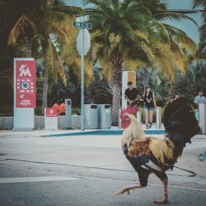 Image post by @catocataldo on Instagram