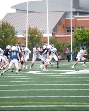 Image post by @ithacabomberfb on Instagram