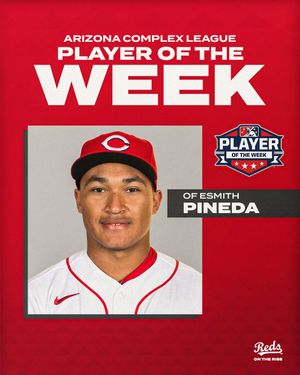 Image post by @RedsOnTheRise on Twitter