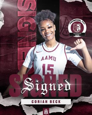 Image post by @aamuwbb on Instagram
